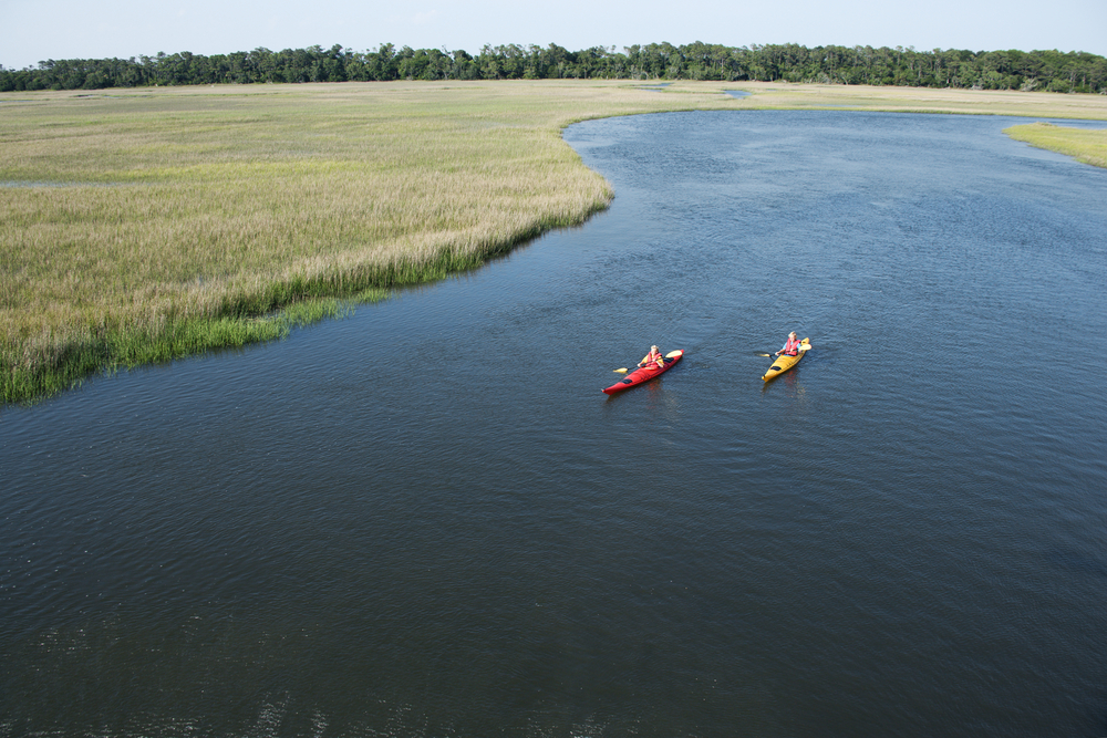 rowers on water