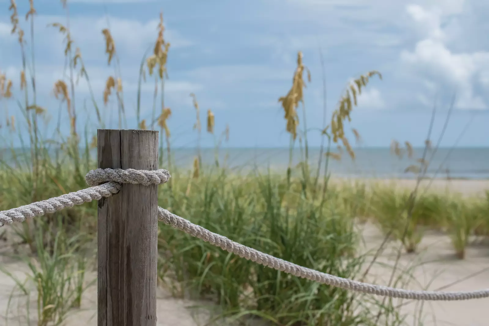 BHI Dunes with post