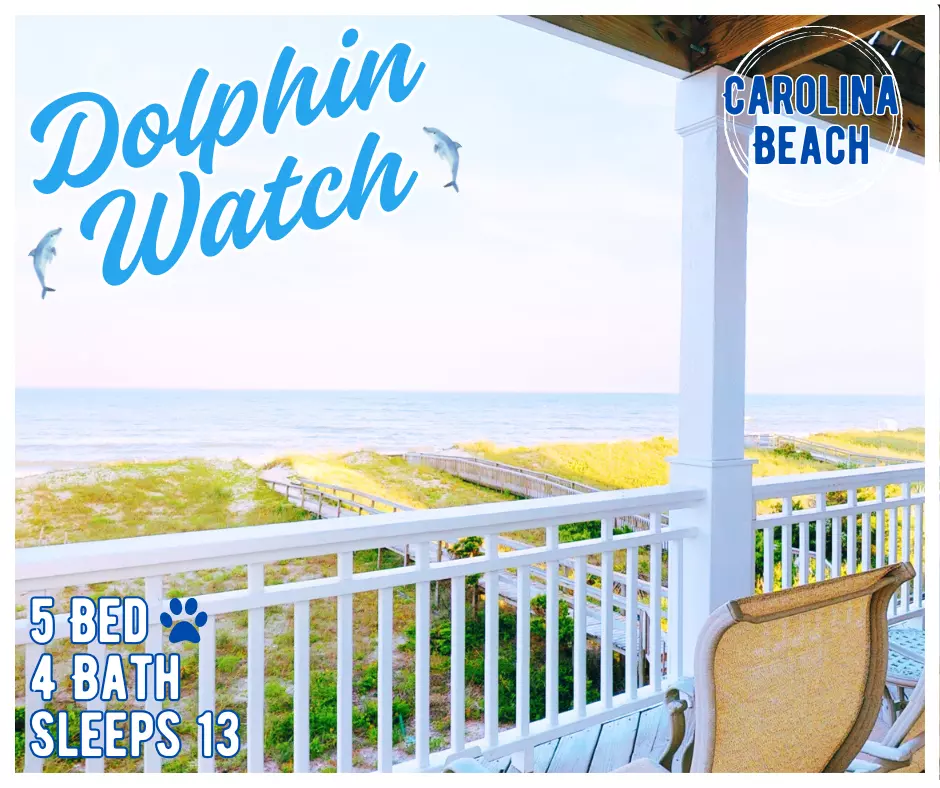 Dolphin Watch CB