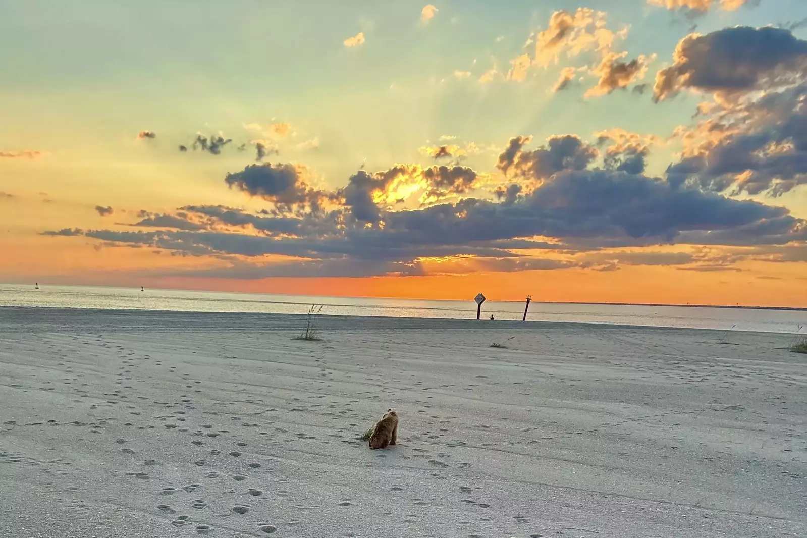 Beach in front of Tee Time, almost every night