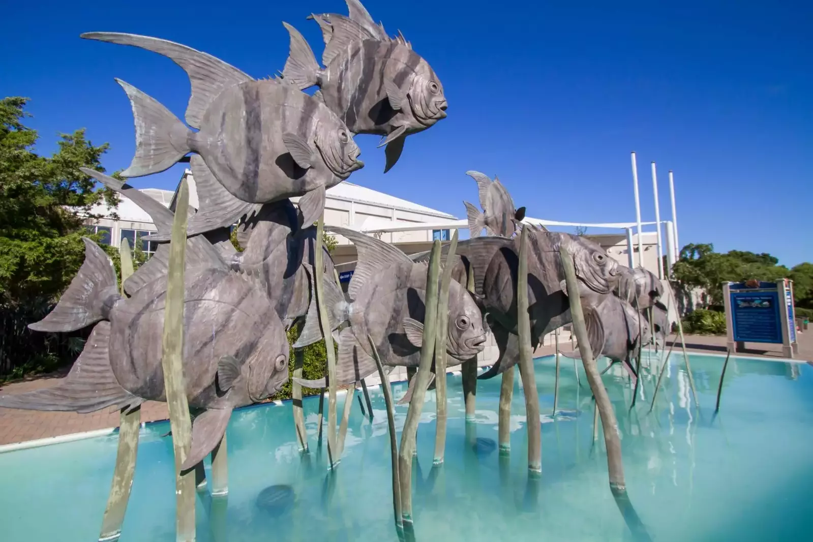 Visit the NC Fort Fisher Aquarium for a fun-filled day with the family