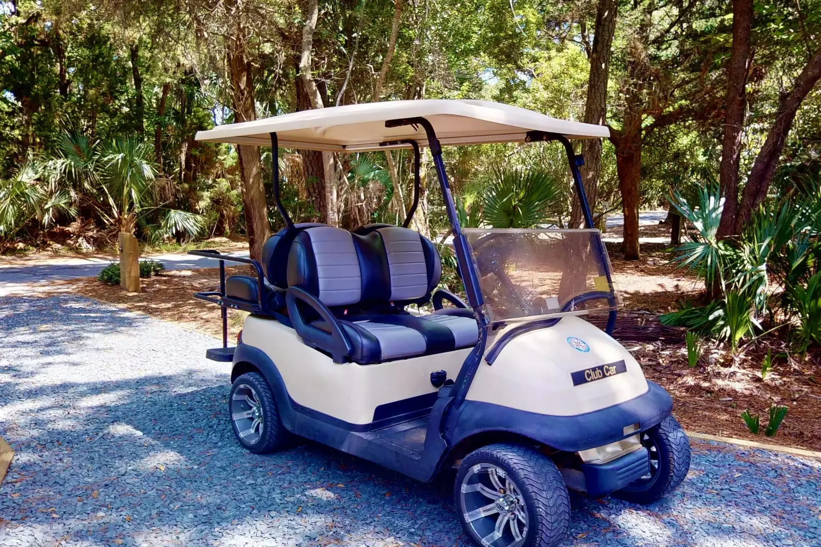 4 seat golf cart with lithium battery