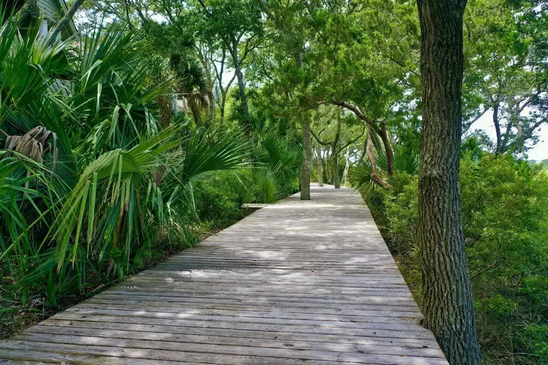 A serene tree lined walk way is located just outside this property