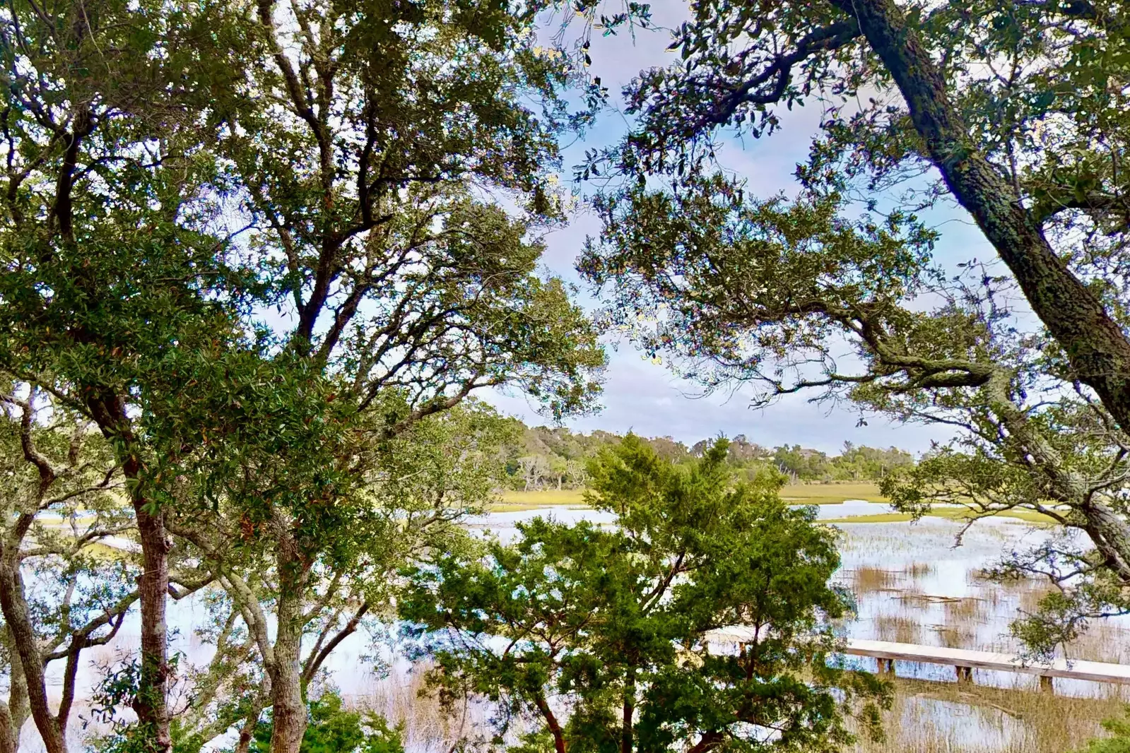 A gorgeous view of the marsh from the upper deck