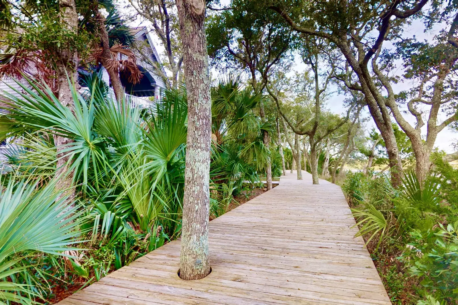 A leisurely stroll on this gorgeous walkway will be a must while staying at Blue Crab Cottage