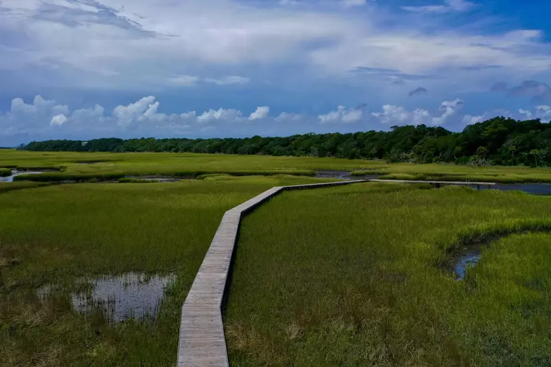Enjoy a stroll into the marsh on the walkway just out your front door