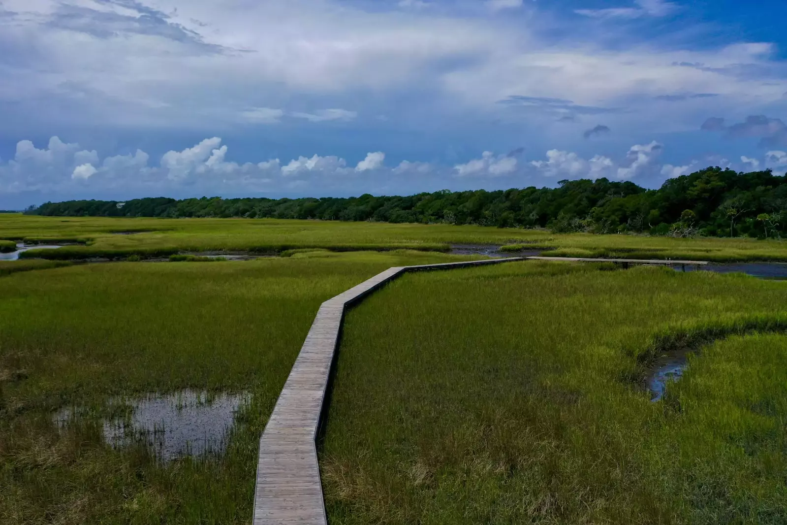 Enjoy a stroll into the marsh on the walkway just out your front door