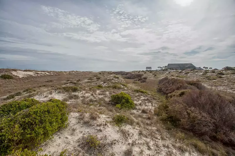 Explore and see all the wildlife in the dunes as you walk to the beach!