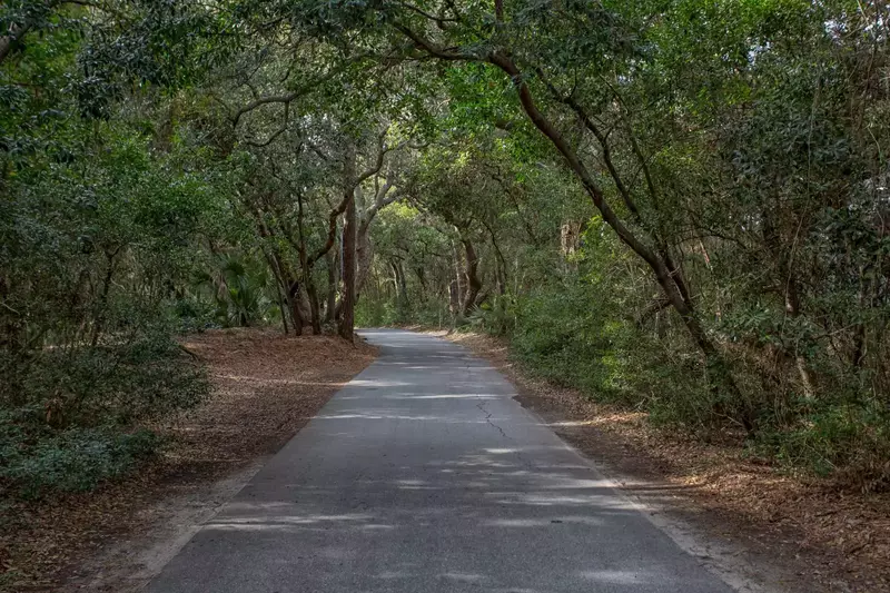 A beautiful shady canapy covers you as you cruise down the streets of BHI. Stroll through the paths at Bald Head Island and enjoy the beautiful nature