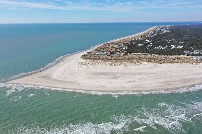 Go shelling at the beach when the tide is low