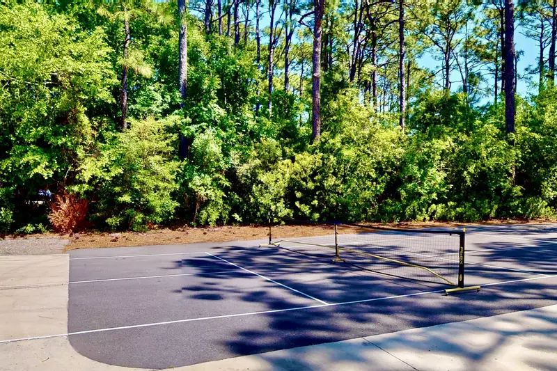 Simply place the pickleball net and play away