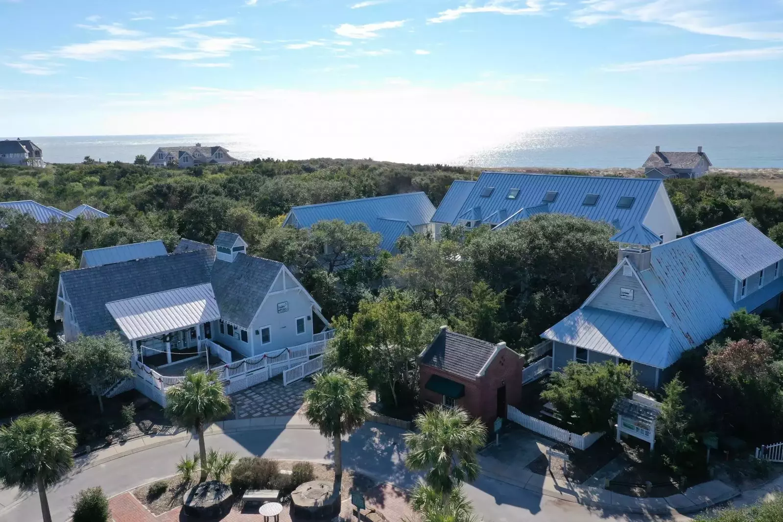 Stop by the Bald Head Island conservatory and learn about the island wildlife, habitats, conservation and education programs.