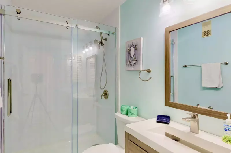 Newly updated 1st floor bathroom with walk in shower