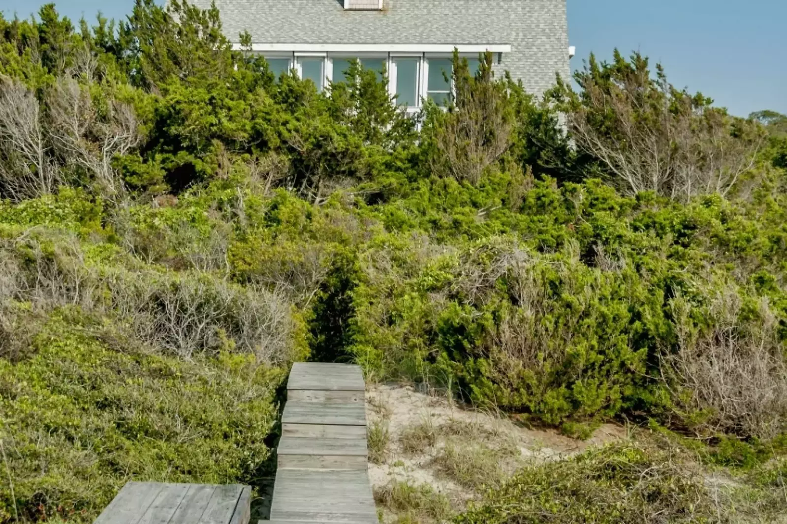 Doc House has maintained the island's natural trees and plants for privacy on the 1st floor bedrooms while maintaining great views on the top floor