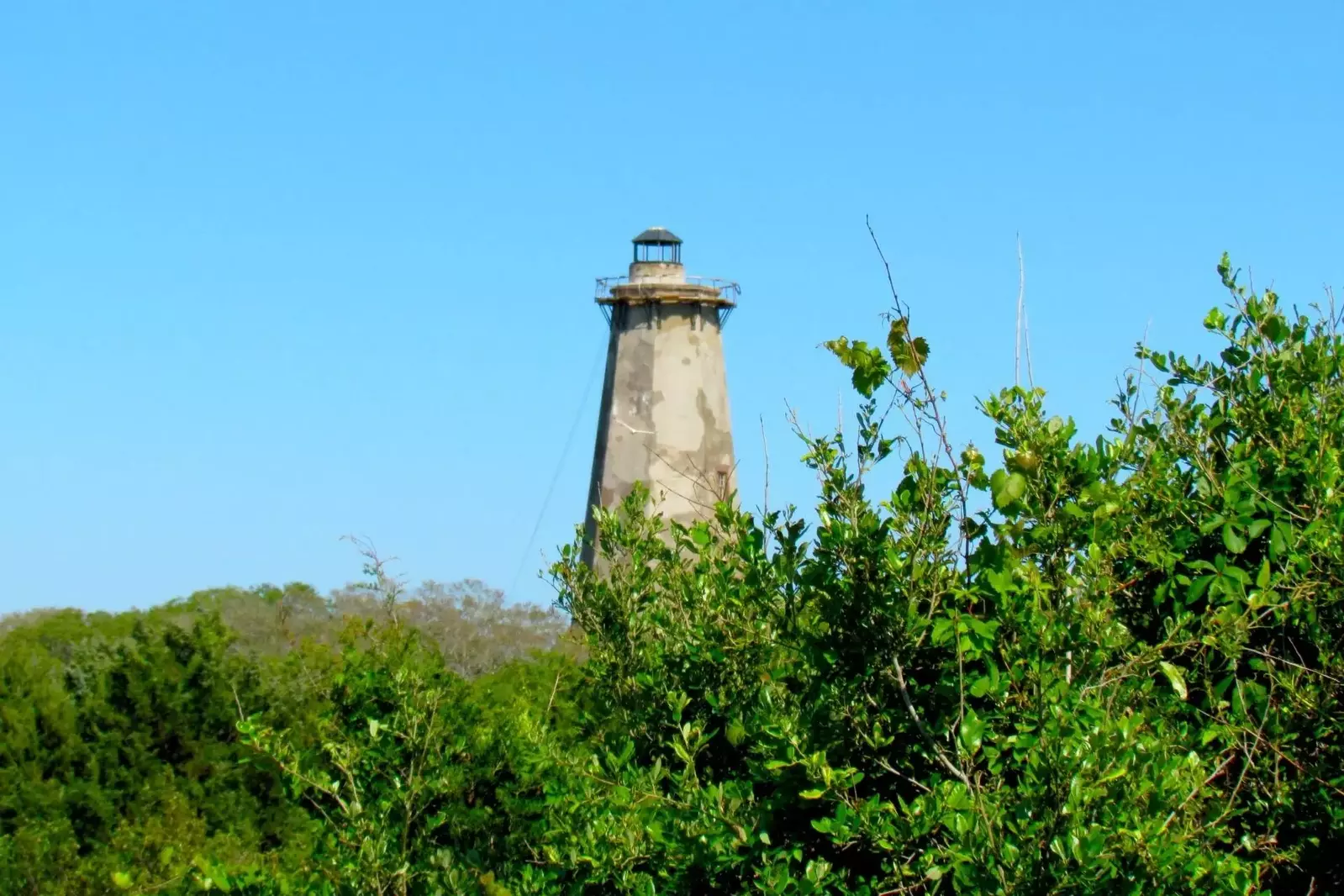 Step onto the back deck and view the marsh and Old Baldy