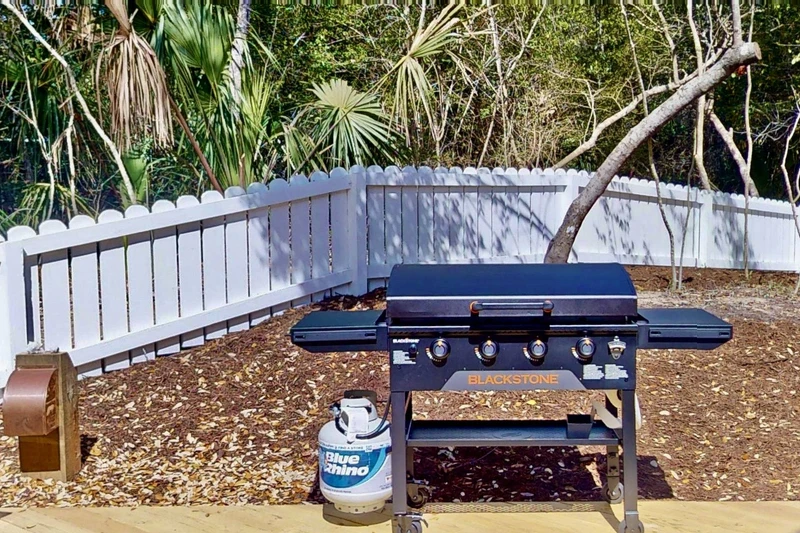 The Blackstone will excite the grill master in your family or friend group