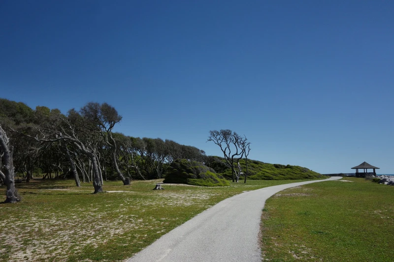 path through grass